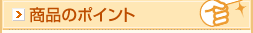 ���i�̃|�C���g