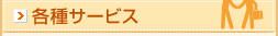 �e��T�[�r�X