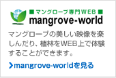 mangrove-world