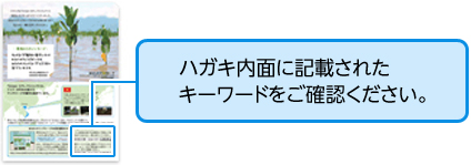 「あなたのマングローブ」キーワード