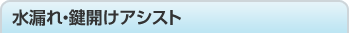 ���R��E���J���A�V�X�g