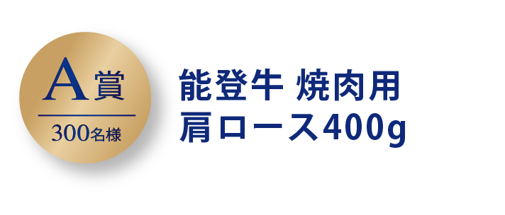 A賞 300名 能登牛 焼肉用 肩ロース400g