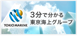 3分で分かる東京海上グループ