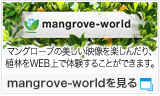mangrove-world マングローブの美しい映像を楽しんだり、植林をWEB上で体験することができます。mangrove-worldを見る 別窓で開きます。