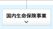 国内生命保険事業