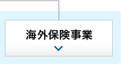 海外保険事業