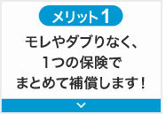 メリット1 モレやダブリなく、1つの保険でまとめて補償します！