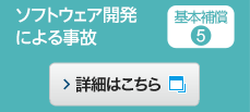 基本補償(5) ソフトウェア開発による事故