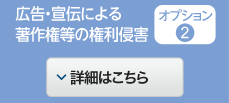 オプション※2 広告・宣伝による著作権等の権利侵害