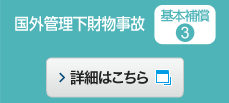 基本補償3 国外管理下財物事故