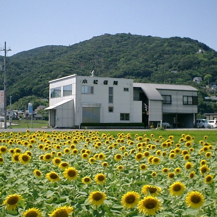 代理店アイコン