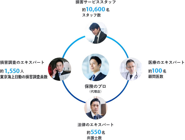 チーム・エキスパート態勢図