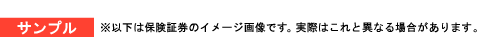 サンプル