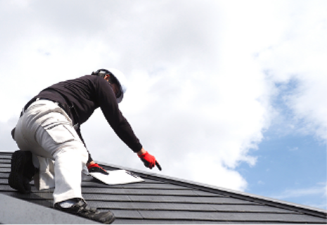 被害の範囲を確認するため、屋根裏の調査が必要！