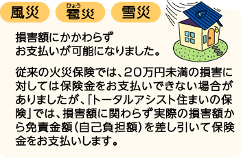 風災・雹(ひょう)災・雪災