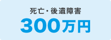 死亡・後遺障害 300万円