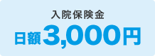 入院保険金 日額3,000円