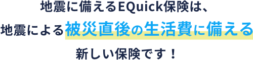 地震に備えるEQuick保険は、地震による被災直後の生活費に備える新しい保険です！