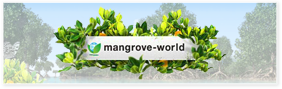 mangrove-world