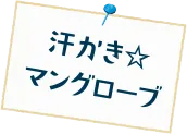 汗かき☆ マングローブ