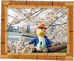 おでかけ日和！