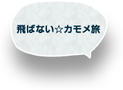 飛ばない☆カモメ旅