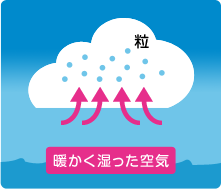 図：周囲の空気を吸い込みながら上昇した雲が大きな積乱雲へと変化し、上空で冷やされた積乱雲が、その中で氷の粒をたくさん作る様子