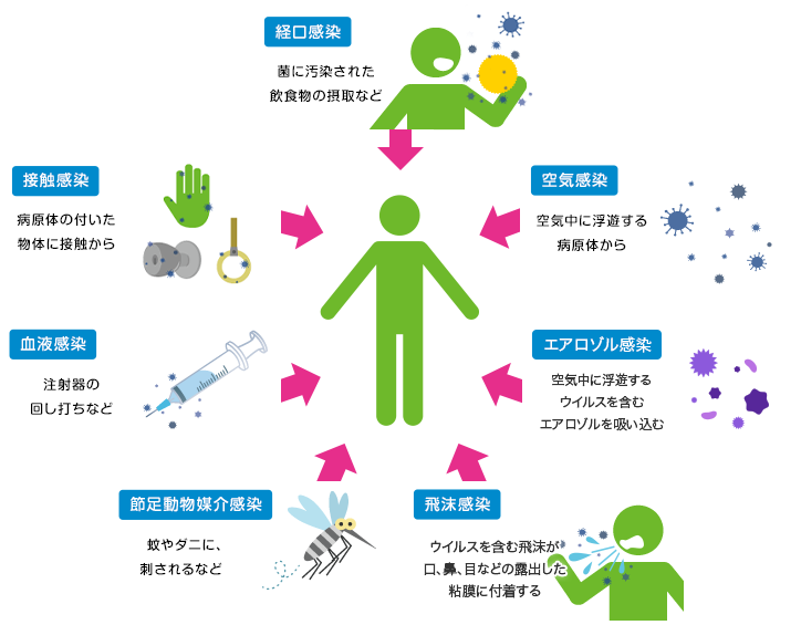 「経口感染」菌に汚染された飲食物の摂取など/「接触感染」病原体の付いた物体に接触から/「血液感染」 注射器の回し打ちなど/「空気感染」 空気中に浮遊する病原体から/「エアロゾル感染」 空気中に浮遊するウイルスを含むエアロゾルを吸い込む/「飛沫感染」 ウイルスを含む飛沫が口、鼻、目などの露出した粘膜に付着する/「節足動物媒介感染」 蚊やダニに、刺されるなど