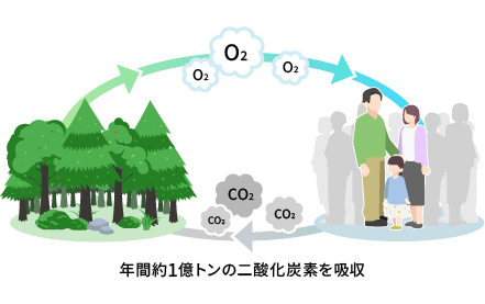 年間1億トンの二酸化炭素を吸収
