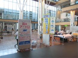 写真1