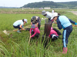 写真1