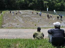 写真1