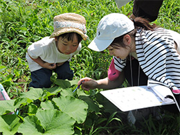写真1