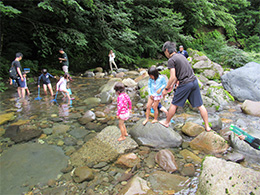 写真1