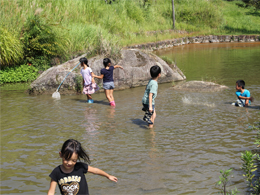 写真3