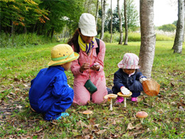 写真1