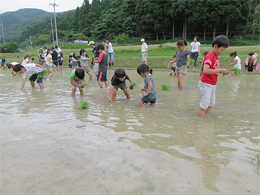 写真3