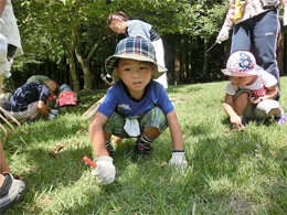 写真1