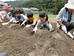 写真1