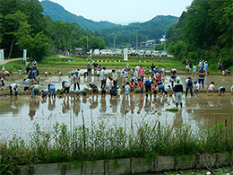 写真2