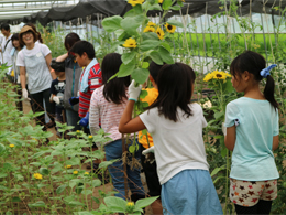 写真1