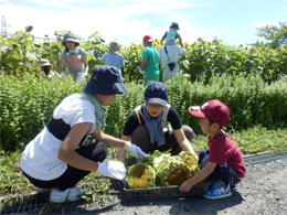 写真1