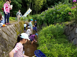 写真1