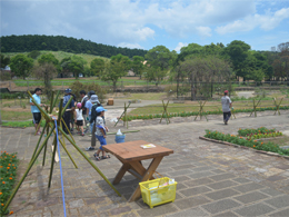 写真3