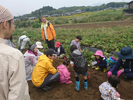 写真1
