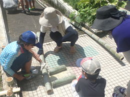 写真1
