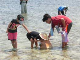 写真1