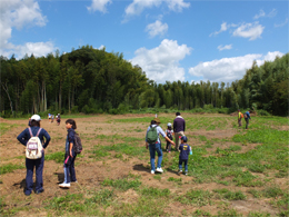 写真1