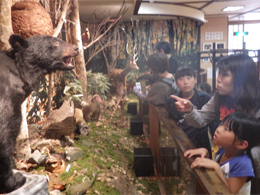 写真1