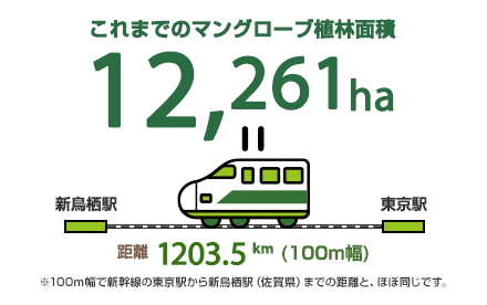 これまでのマングローブ植林面積 12,261ha 距離 1203.5km（100m幅） ※100m幅で新幹線の東京駅から新鳥栖駅（佐賀県）までの距離と、ほぼ同じです。
